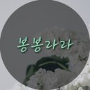 라라마마