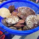 영흥주유소 이미지