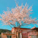 주주산방