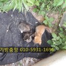 청우물산 이미지