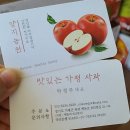 솔랑구 | 가평 사과 연인산 양지농원 하트사과 good!