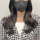 아르브헤어 arvv 이미지