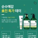 순수예감