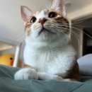 영섭 | 2025년 11월 일상 (11.3~11.10)