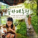 동천 산책길 오작교 앞 | 제주도 숲카페 조천 제주 동쪽 카페 제주시 숲카페동천