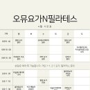 오뮤요가N필라테스