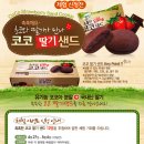 샌드코코