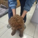 최종주동물병원 이미지