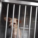 금산을지병원 이미지