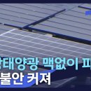 월드태양광 이미지