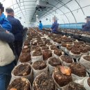 김윤영 농장 이미지