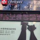 과잉진료없는 #보광동물병원- 심장전문병원-14년다닌후기