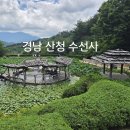 1546 | 1546.산청 수선사/전국 방방곡곡 지도를 그리는 여행가