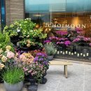 플라워 팔레트 이미지