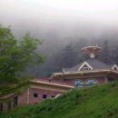 대산사슴농장 이미지