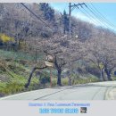 천자봉 농장 이미지