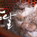 홍성 오일장 바다를 담고 보물을 품다 | 다큐멘터리 장날 | 대전MBC 이미지