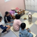 권앤정 24시수원동물메디컬센터 이미지