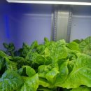 미니목장 이미지