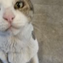 길복식당 이미지