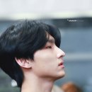 주호 Daum카페