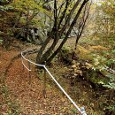 임존성낚시터 이미지