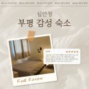 심안 | 🏡 인천 부평구 심안정 에어비앤비 숙박 후기 ✨