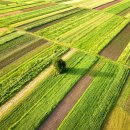 베스트팜 이미지