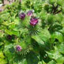 설봉경로당 이미지