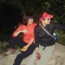 잠보나이트 이미지