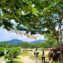 [대구 근교 거창 여행] 아이들과 부모님가 가기 좋은 거창 창포원 수변생태정원 전망대 열대식물원 내부...