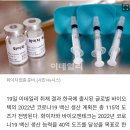 백신 내년엔 남아돈다..개발중 국산백신 어쩌나 이미지