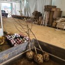 재식농장 이미지