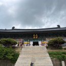 야로시장 | 합천 반값여행 코스, 1박 2일 맛집 (적사부,계곡,해인사)