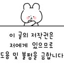 아디아나뷰티랩(ADIANA BEAUTYLAB)