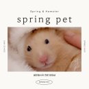 스프링 햄스터 이미지