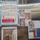 인형뽑기노리터 | 남양주 솔몽베이커리 베이커리 카페｜통창뷰｜마운틴...가기좋은카페｜반려견동반가능｜내돈내산후기