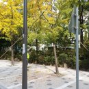 기동반-21 이미지