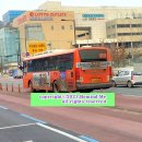 백송주유소 이미지