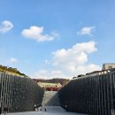 신촌지구 | 신촌 맛집 이자카야 쿠라/대전해장국/카페 파이홀 후기