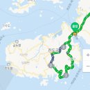 진도 고니류 도래지 | 진도여행 드라이브하기 좋은 보배섬 진도