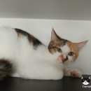 호텔엘린 이미지