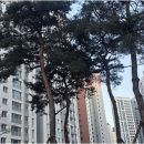 호반써밋바로부동산공인중개사사무소 이미지