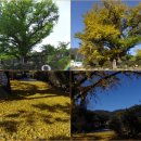 지동산촌마을 이미지