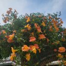 런오브더밀 작업실 이미지