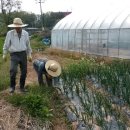 수촌농장 이미지