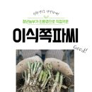 광덕