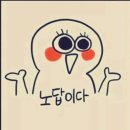 [역삼동 바이감동] 나도 (머리만) 뉴진스 될 수 있어! 역삼동 복구매직 후기
