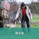 혜주원 요양원 네이버블로그