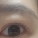 아이미스킨랩 | 고보습가려움증크림추천! 아이미 블랙 진생 크림 써봤어요